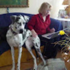 Meet your Posher, Linda